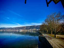 IMG_20250130_140239.jpg