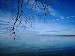 IMG_20250130_141630.jpg