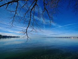 IMG_20250130_141656.jpg