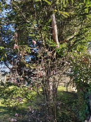 IMG_20250130_132431694_HDR.jpg