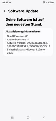 Screenshot_20250131_033337_Software update.jpg