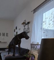20240223_080344.jpg