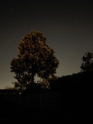 20250131_193545.jpg