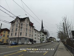 IMG20250201130046.jpg