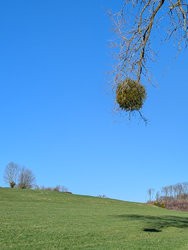 PSX_20250201_163031.jpg