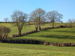 PSX_20250201_163100.jpg