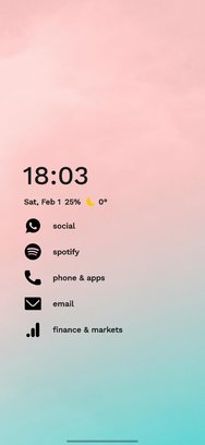 Screenshot_20250201_180343_Niagara Launcher.jpg