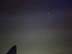 1000019909.jpg