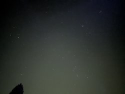 1000019901.jpg