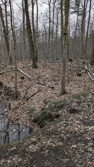 PXL_20250201_131631668.jpg