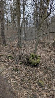 PXL_20250201_132059021.jpg