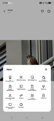 Screenshot_20250201_213017.jpg