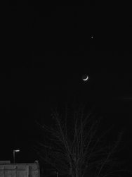 20250201_194204.jpg