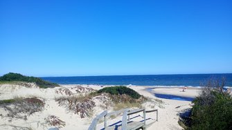 IMG_20250201_162000.jpg