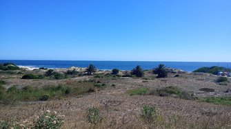 IMG_20250201_162423.jpg