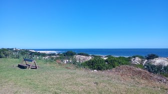 IMG_20250201_162641.jpg
