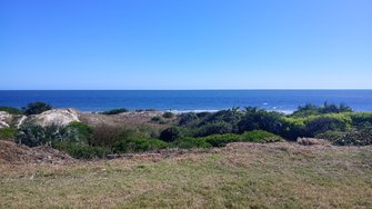 IMG_20250201_162648.jpg