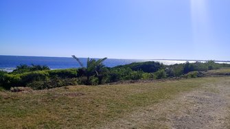 IMG_20250201_162653.jpg