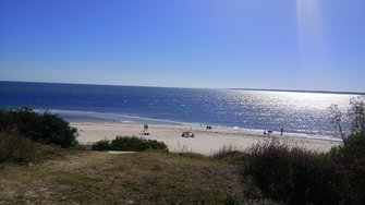 IMG_20250201_162912.jpg