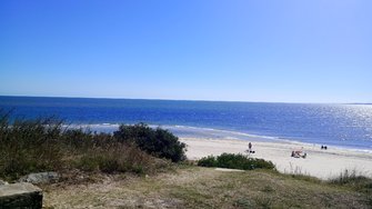 IMG_20250201_162915.jpg