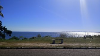 IMG_20250201_163218.jpg