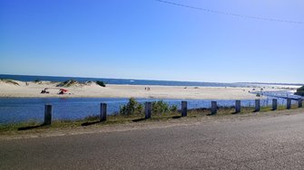 IMG_20250201_163353.jpg
