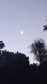IMG_20250201_201824_SR.jpg