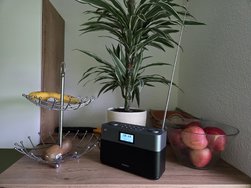 1000006142.jpg