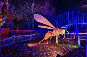IMG_20250130_180411.jpg