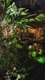 IMG_20250130_182406.jpg