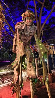 IMG_20250130_184835.jpg