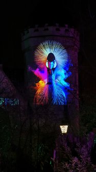 IMG_20250130_185631.jpg