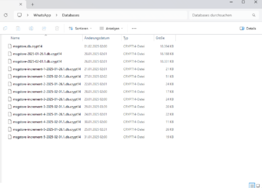 WhatsApp Database.png