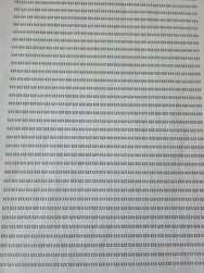 20250202_134929.jpg