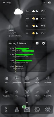 Screenshot_20250202_141740_Nova Launcher.jpg