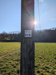 PXL_20250202_132956233.jpg