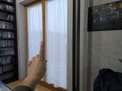 PXL_20250202_162858550.RAW-01.MP.COVER.jpg