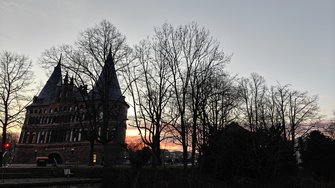 IMG20250202171156.jpg