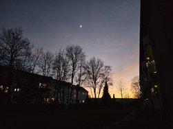 20250202_180107.jpg