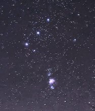 PXL_20250131_192439955.NIGHT.RAW-01.COVER~4.jpg