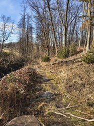 IMG_20250202_123751788_HDR.jpg