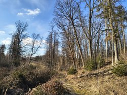 IMG_20250202_123812349_HDR.jpg
