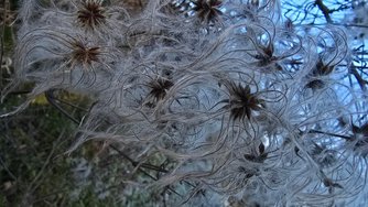 20250202_133209.jpg