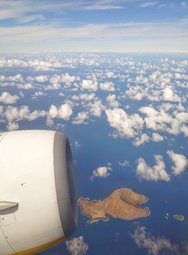 20250202_113955.JPG