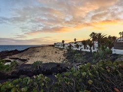 20250129_182119 (1).JPG