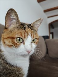 IMG20250117130444.jpg