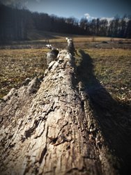 IMG_20250129_180029.jpg