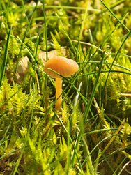 IMG_20250202_135212.jpg