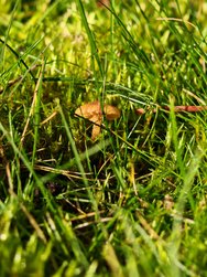 IMG_20250202_135238.jpg