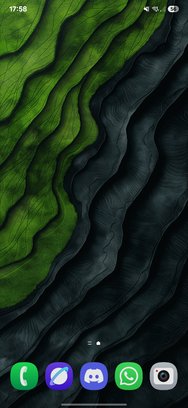 Screenshot_20250202_175819_One UI Home.jpg